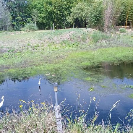 فيلا Pilmaiquen Riachuelo المظهر الخارجي الصورة